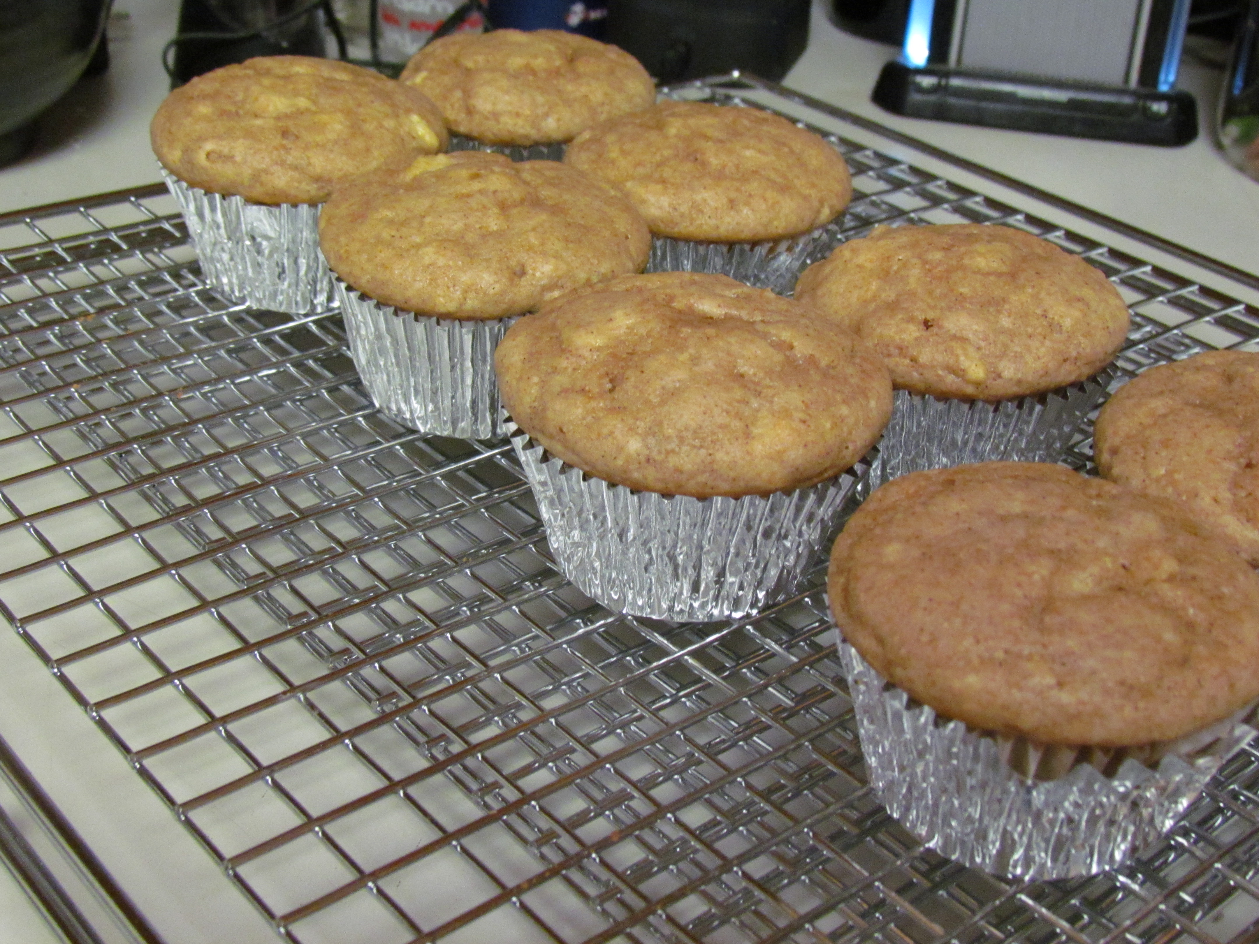 Mmm Mmm Muffins: Banana Cinnamon Muffins from Skinny Bitch