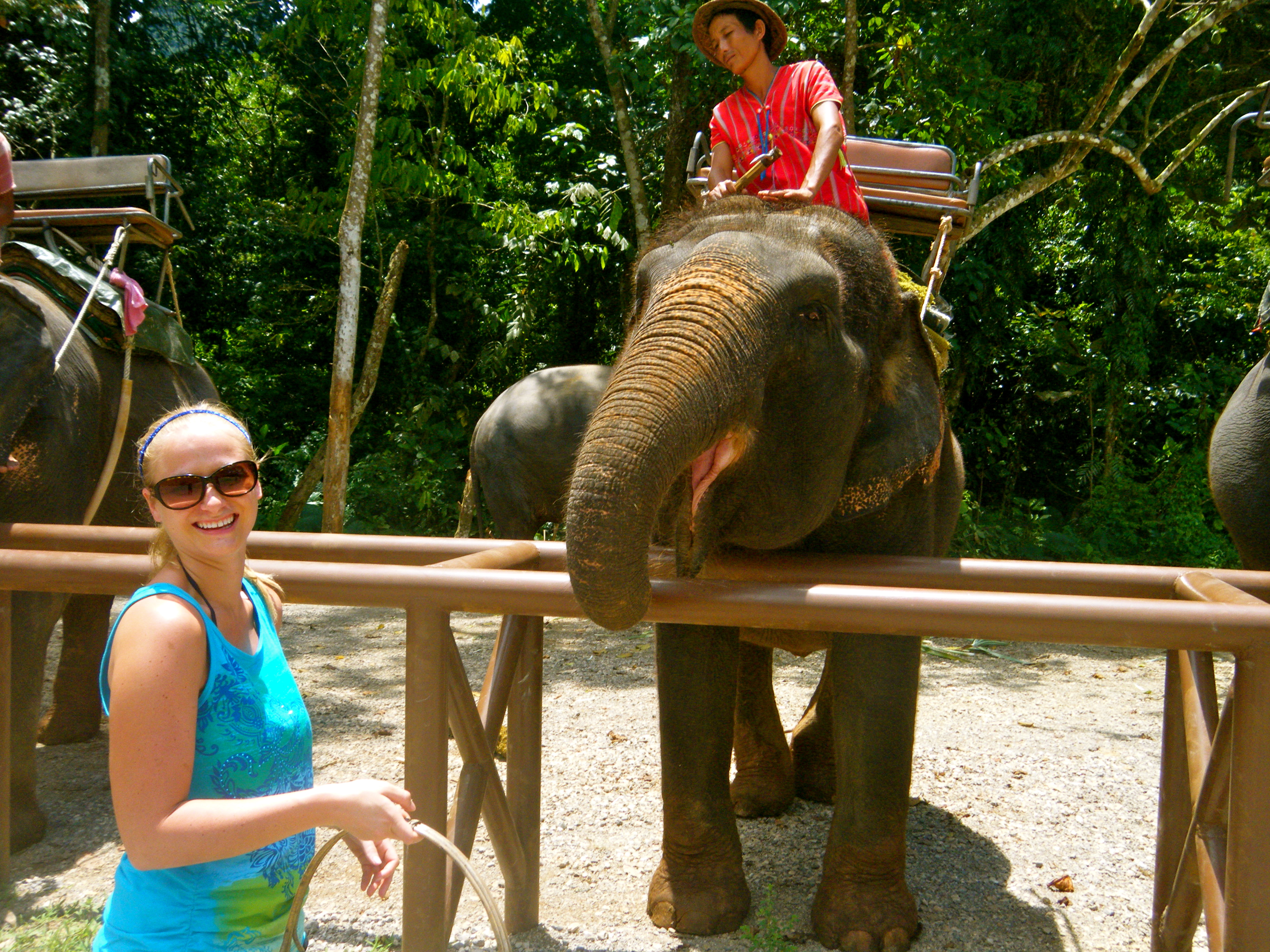 Elephant Trekking in the Rainforest {Thailand Recap}