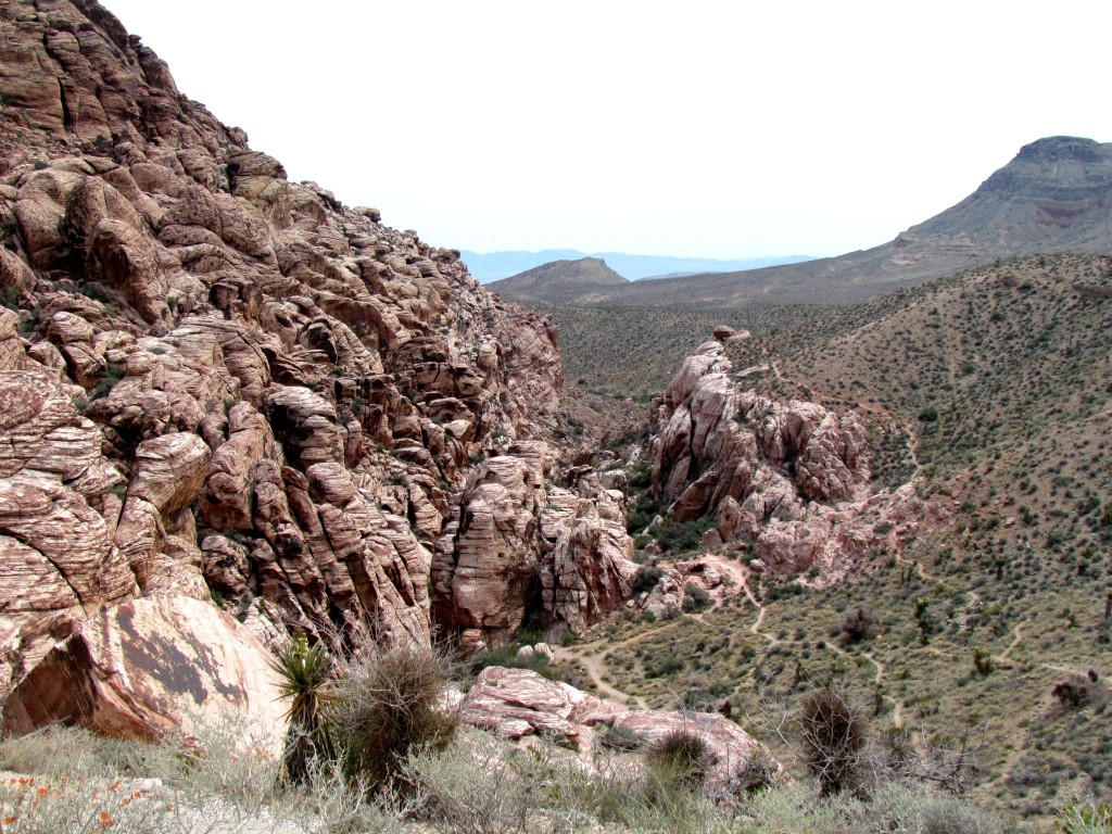 RedRock-6