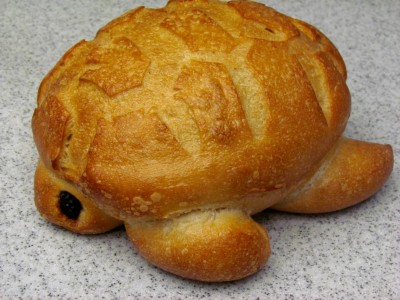 turtle-bread