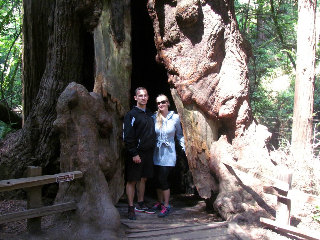 Muir-Woods-11