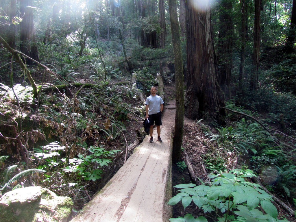 Muir-Woods-12