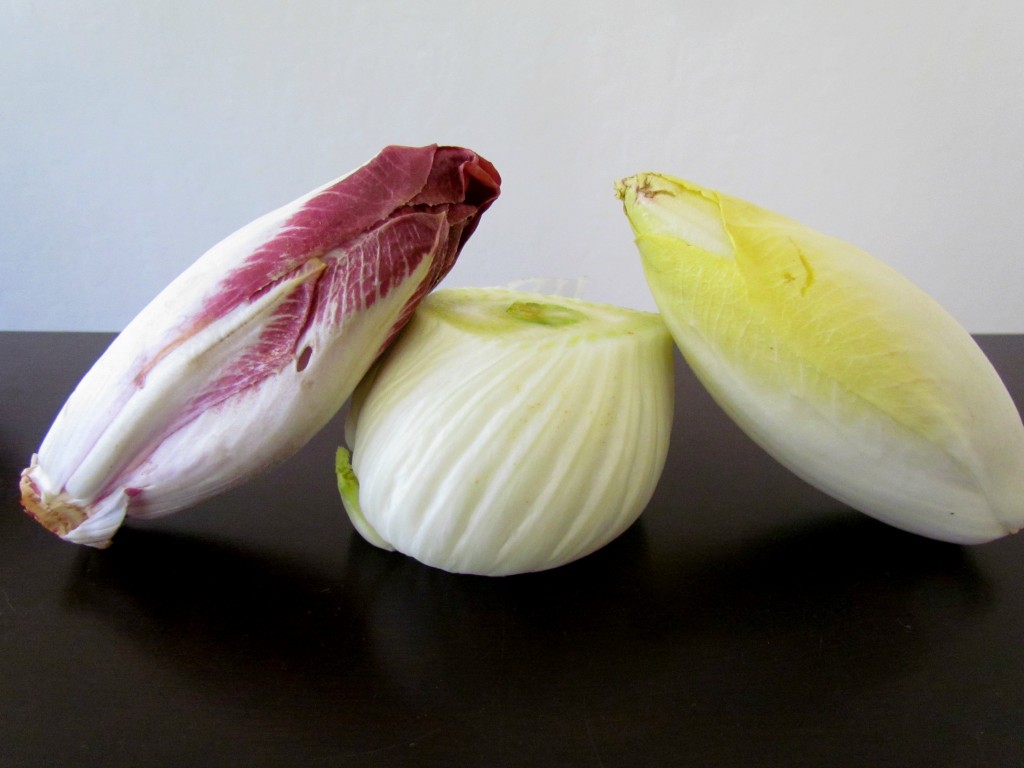 Fennel-Endive
