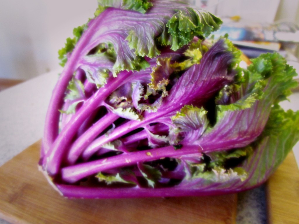 flowering-kale