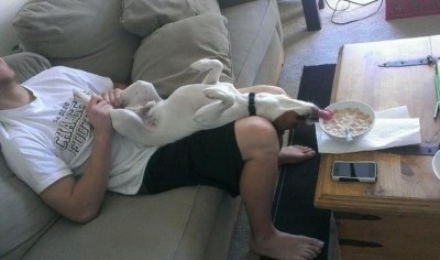 dog-licking-bowl