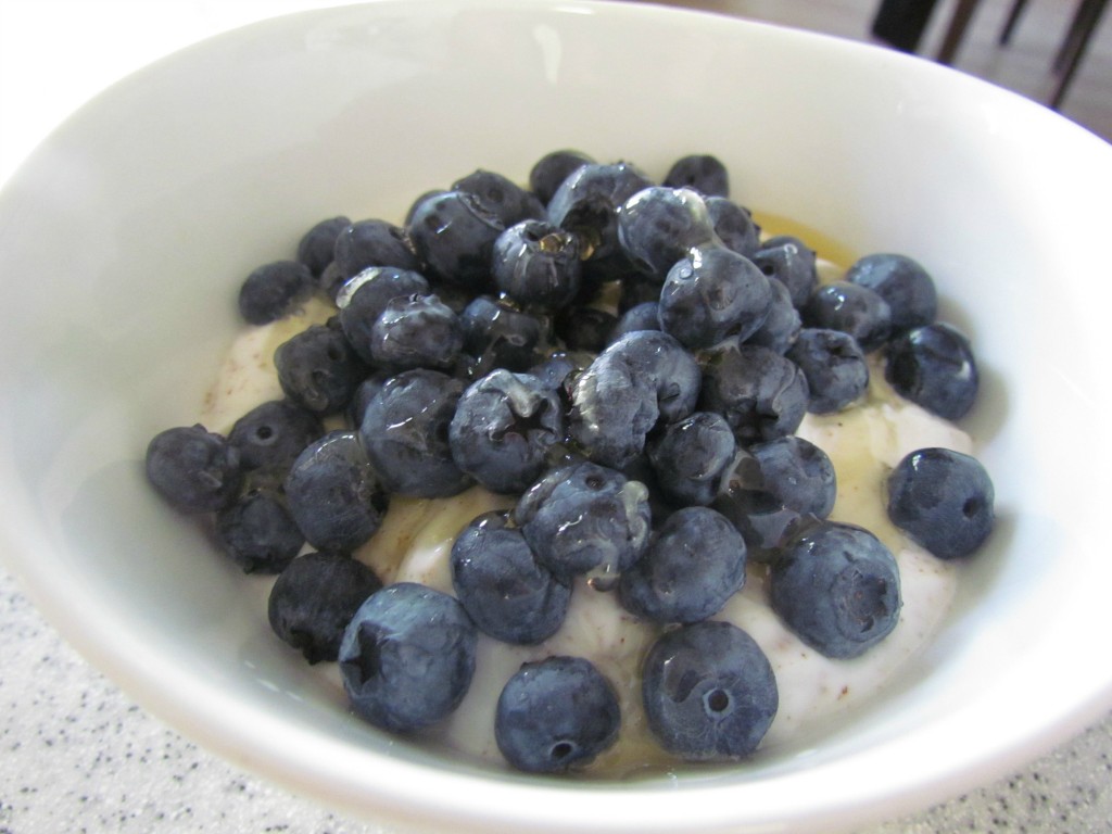 yogurt-blues