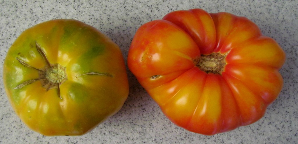 heirlooms