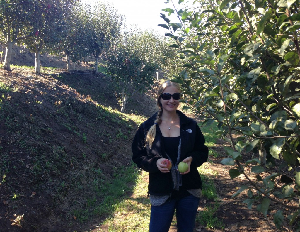 apple picking-2