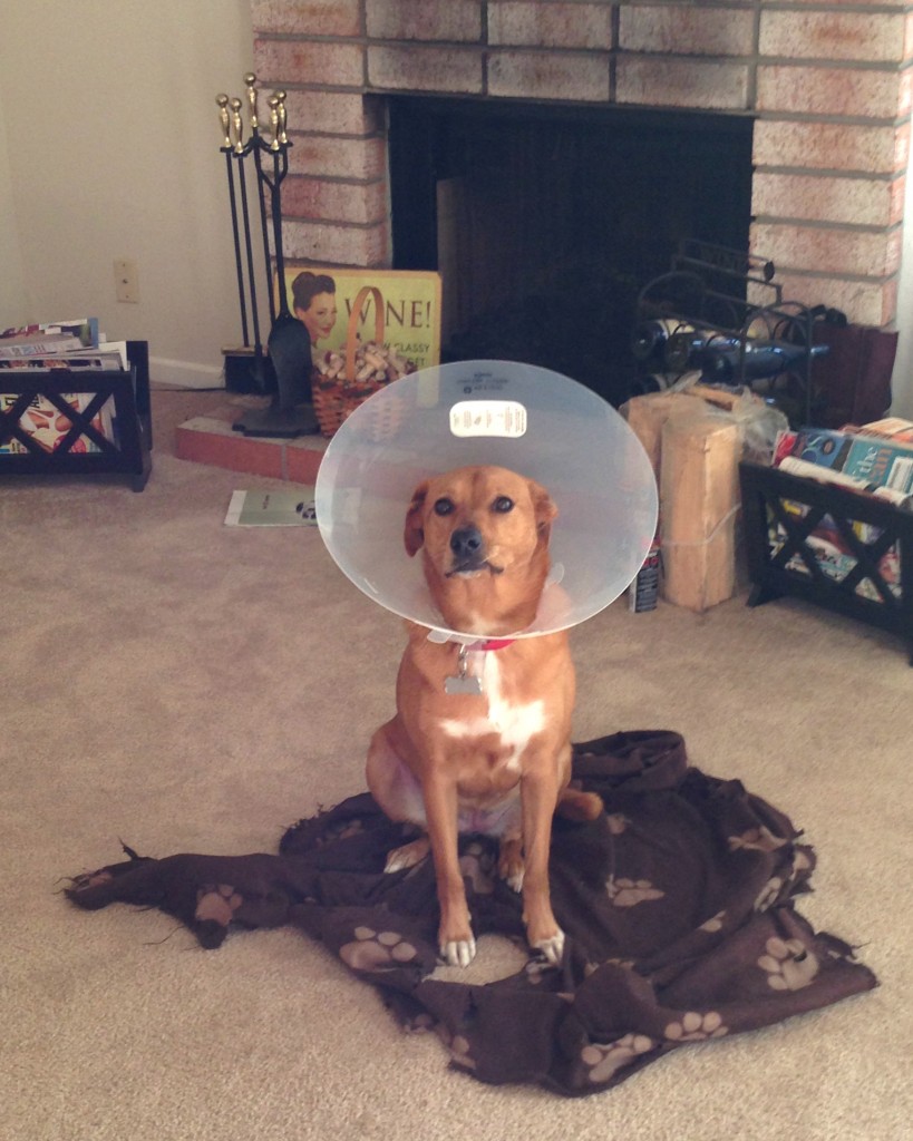 cone-head-2