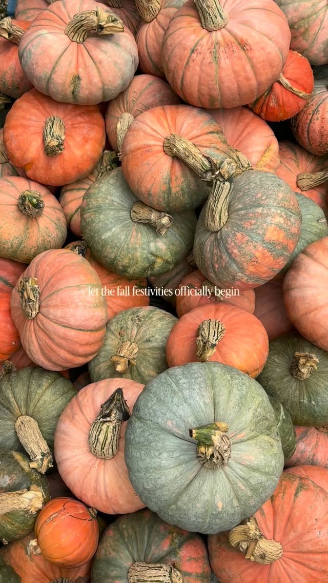 I love this time of year! ✨

#happyfall #pumpkinseason #autumnishere #momsofinstagram