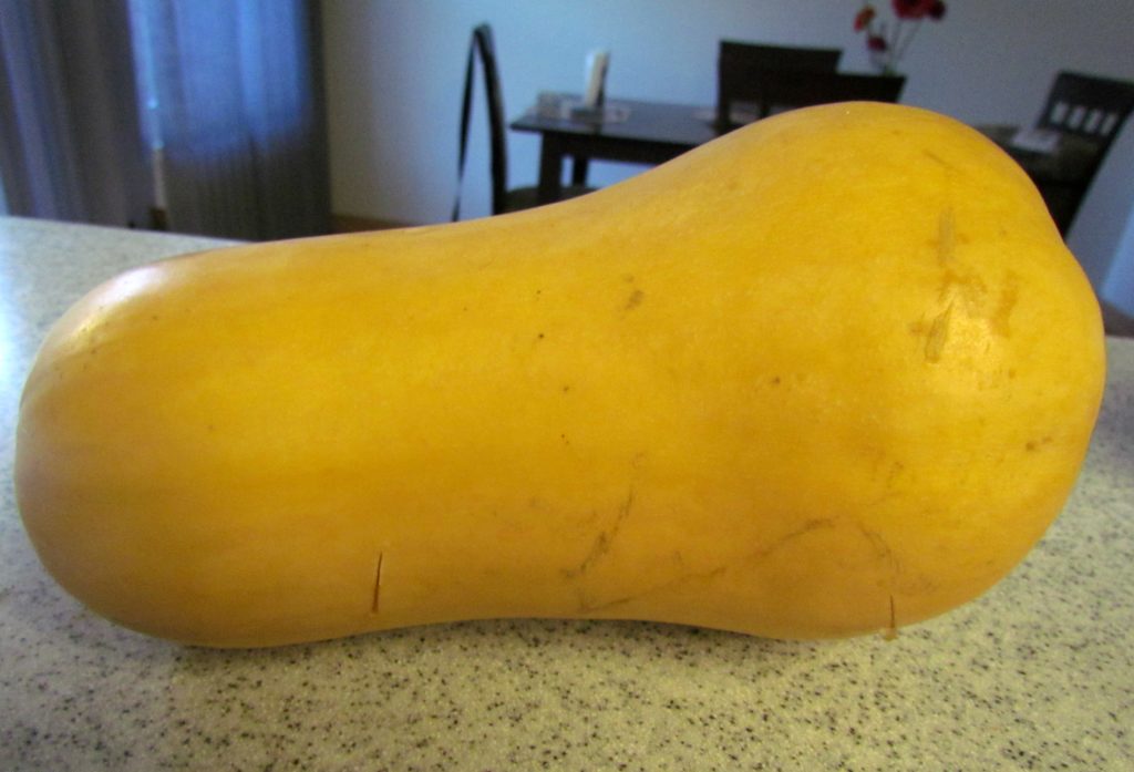 butternut-squash