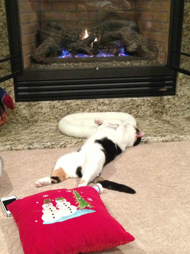 molly by the fire