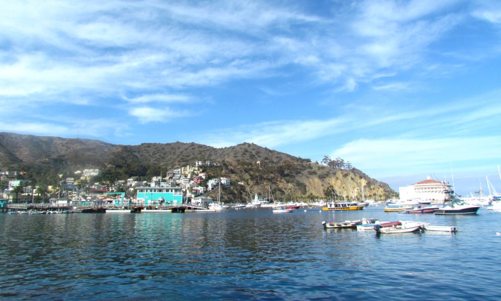 Catalina-19