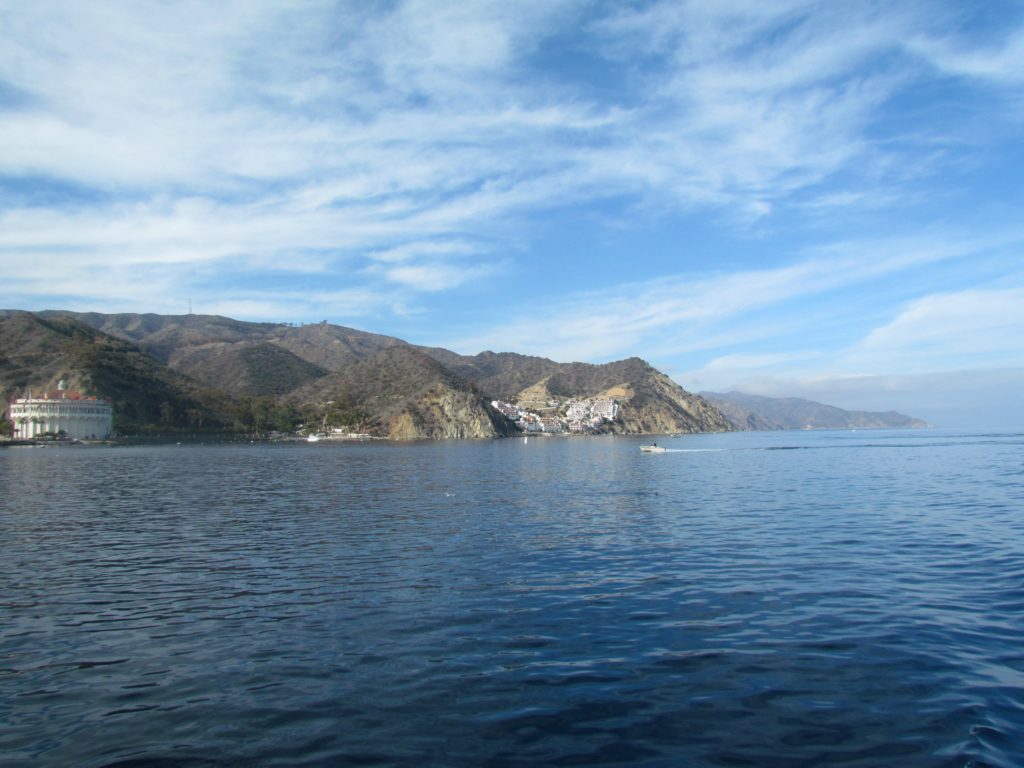 Catalina-4