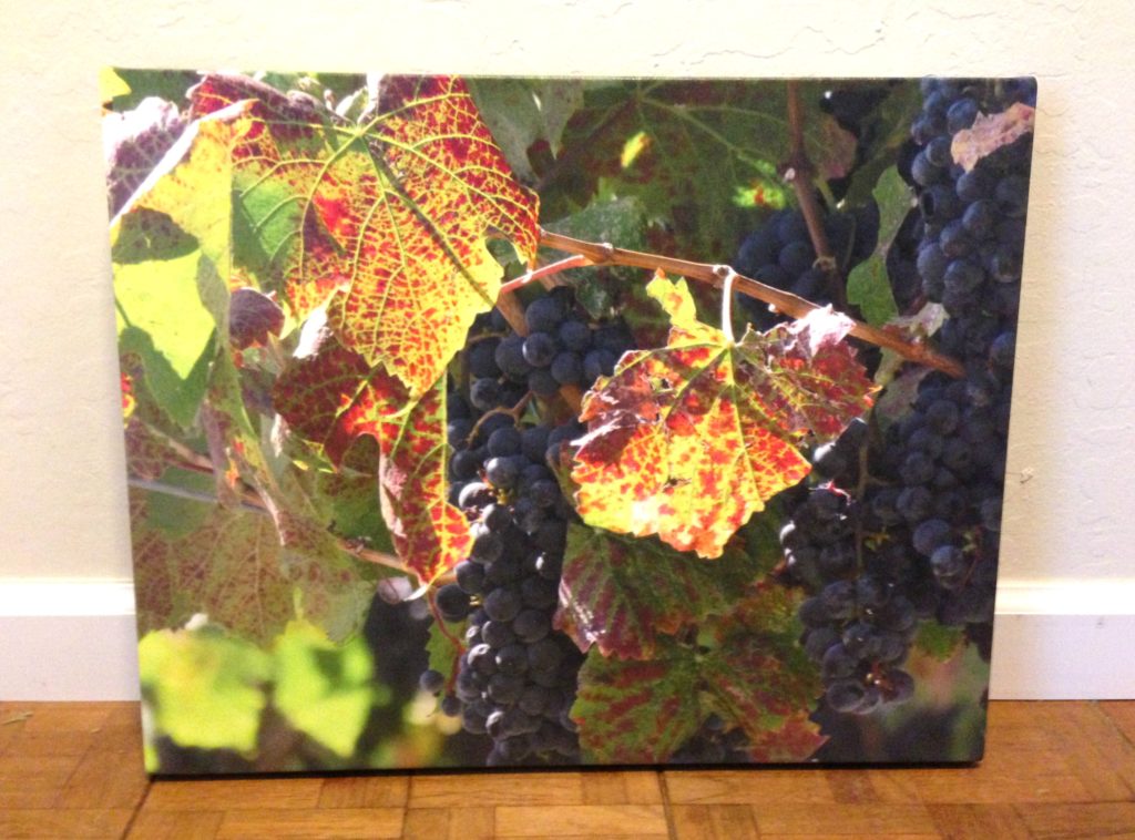 grapes-canvas