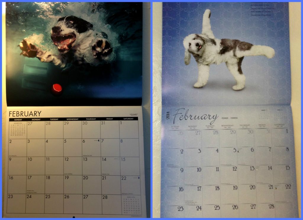 Dog Calendars