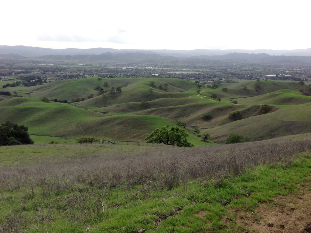 Green hills