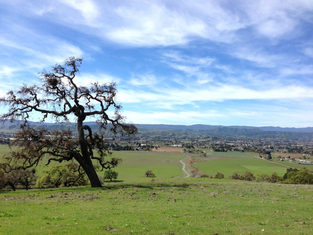 Saturday hike