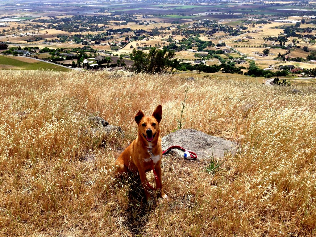 Harley hiking-1