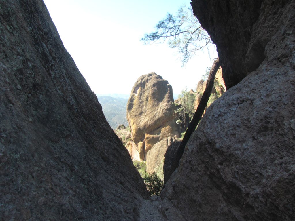 Pinnacles-15