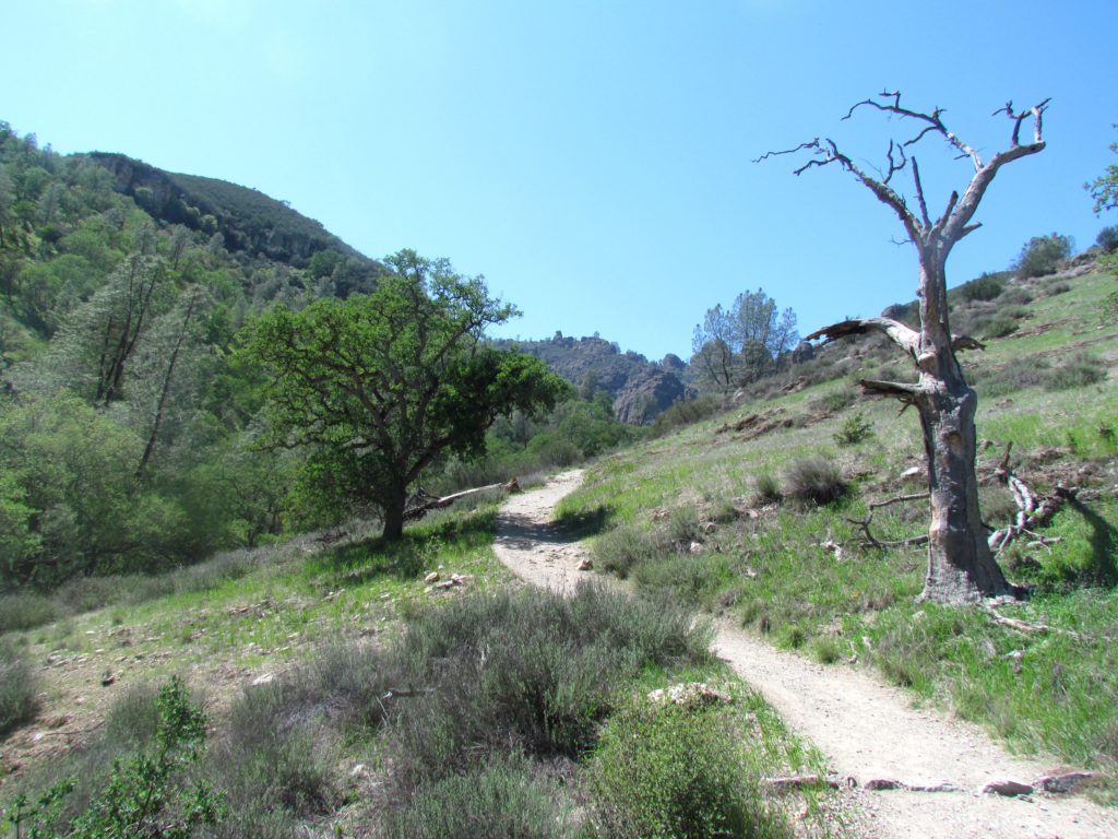 Pinnacles-2