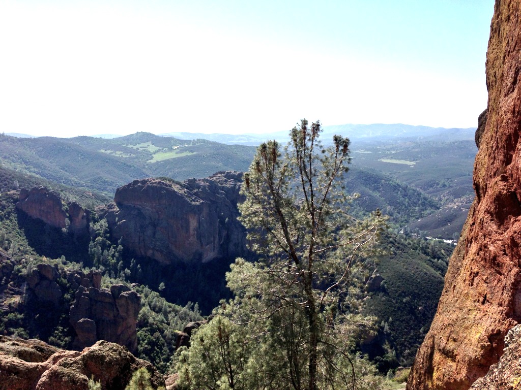 Pinnacles-21