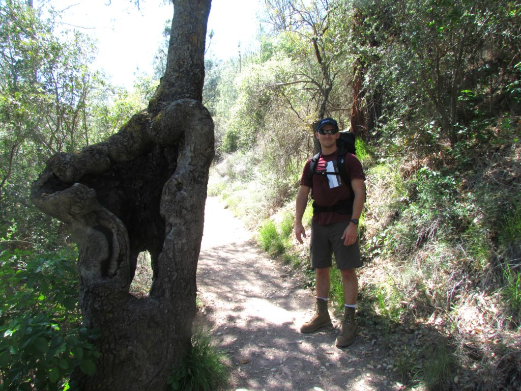 Pinnacles-4