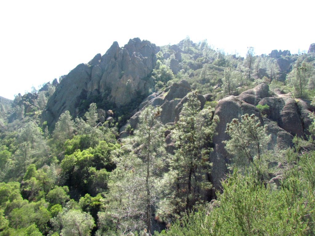 Pinnacles-6