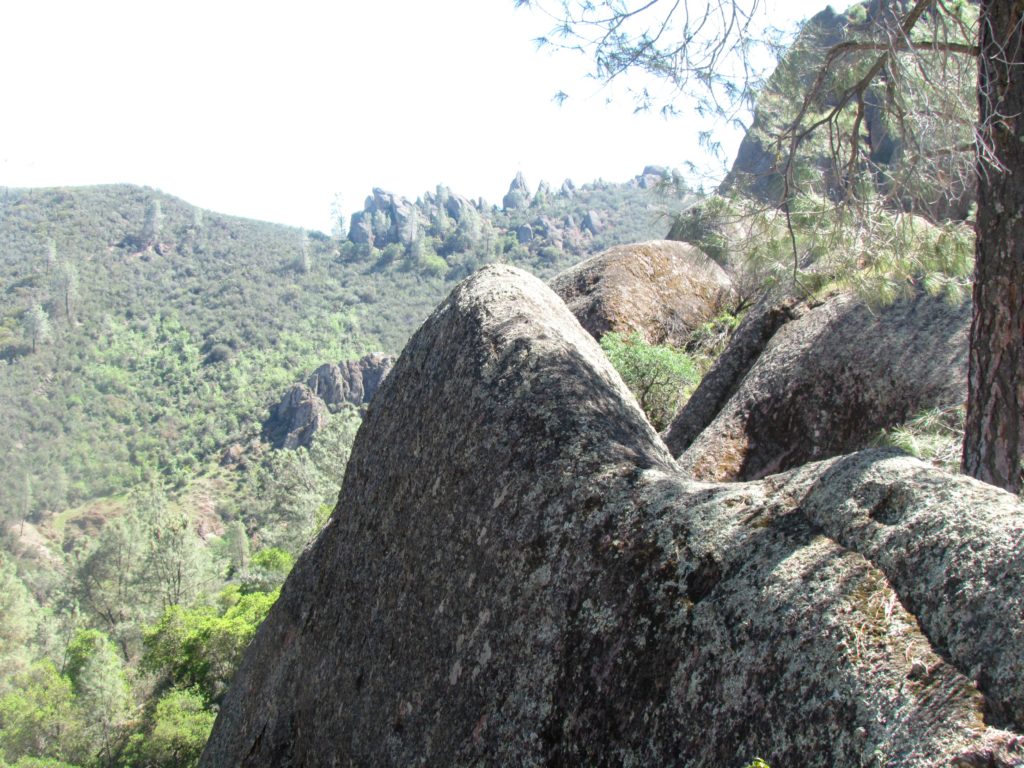 Pinnacles-8