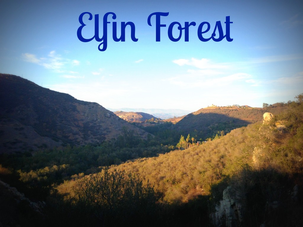 Elfin Forest-20