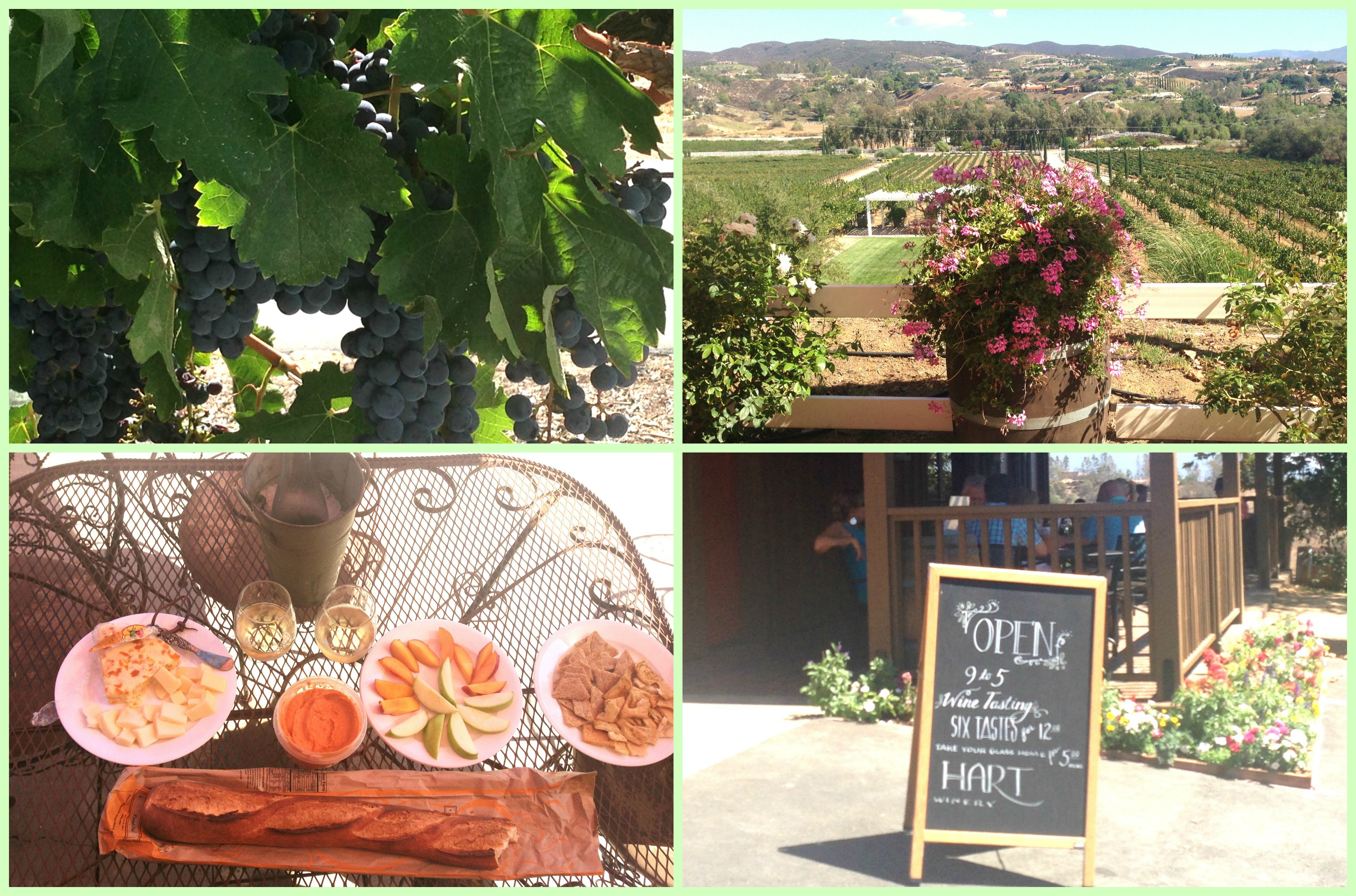 Winery Collage
