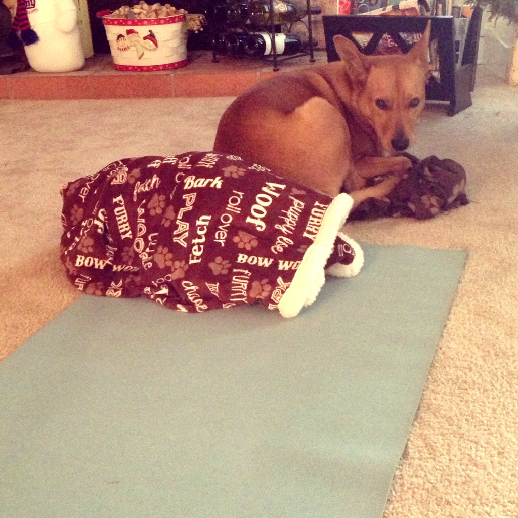 harley-yoga-mat