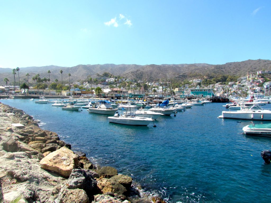 Catalina harbor