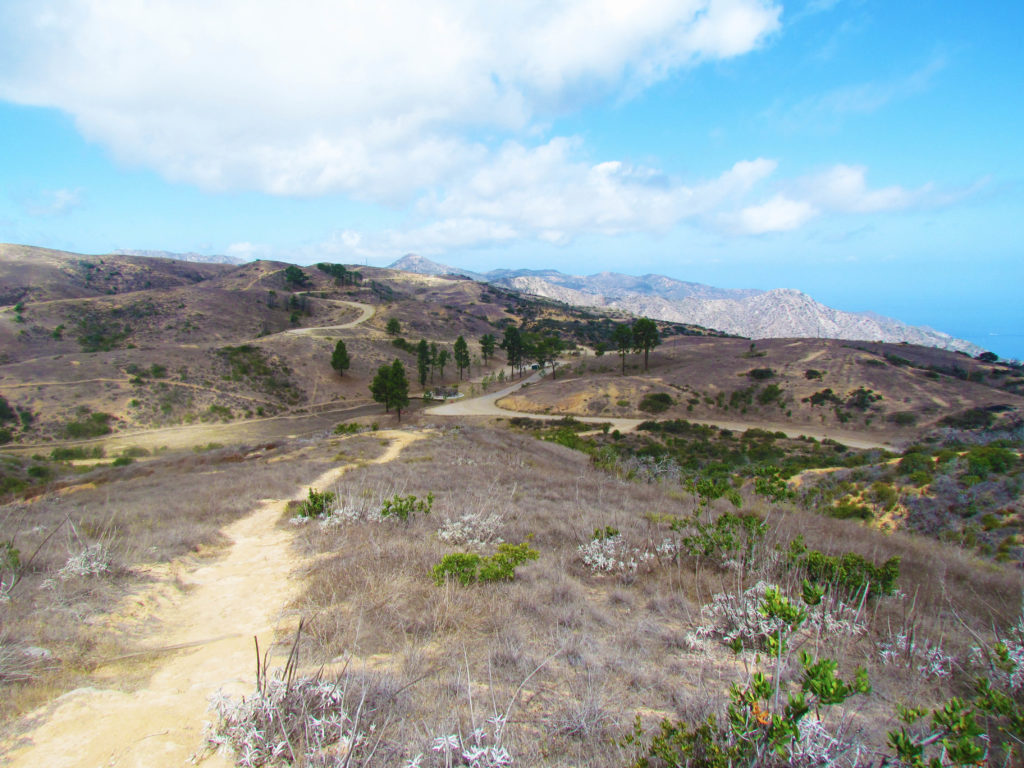 Catalina hiking-3
