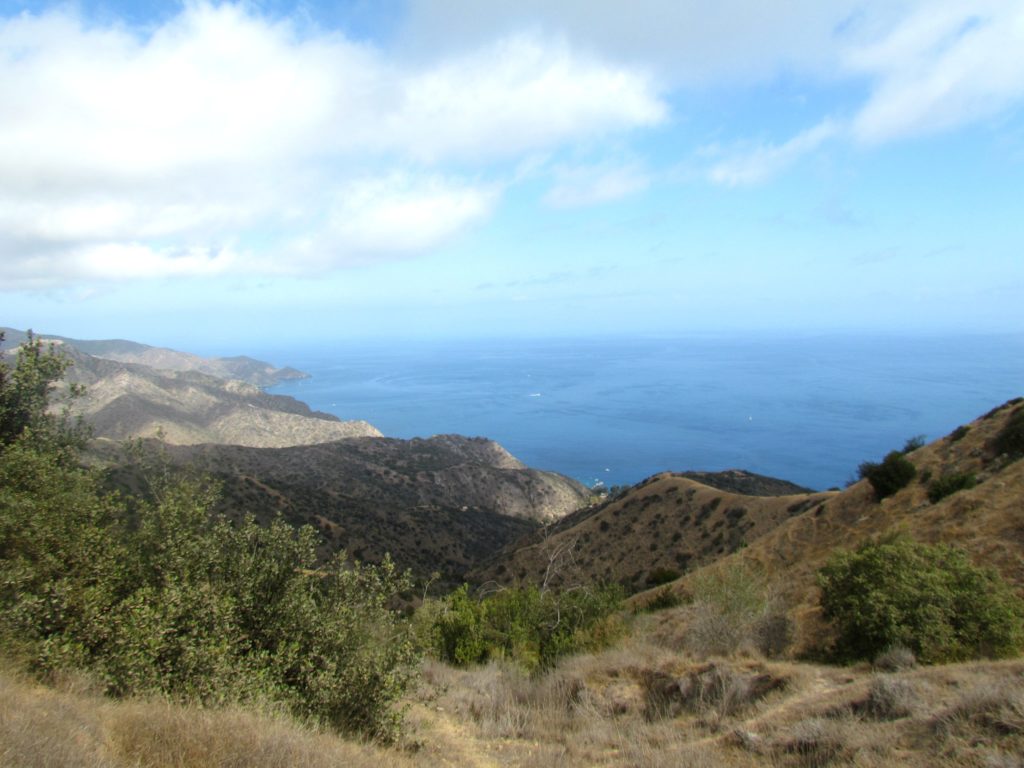 Catalina hiking water view
