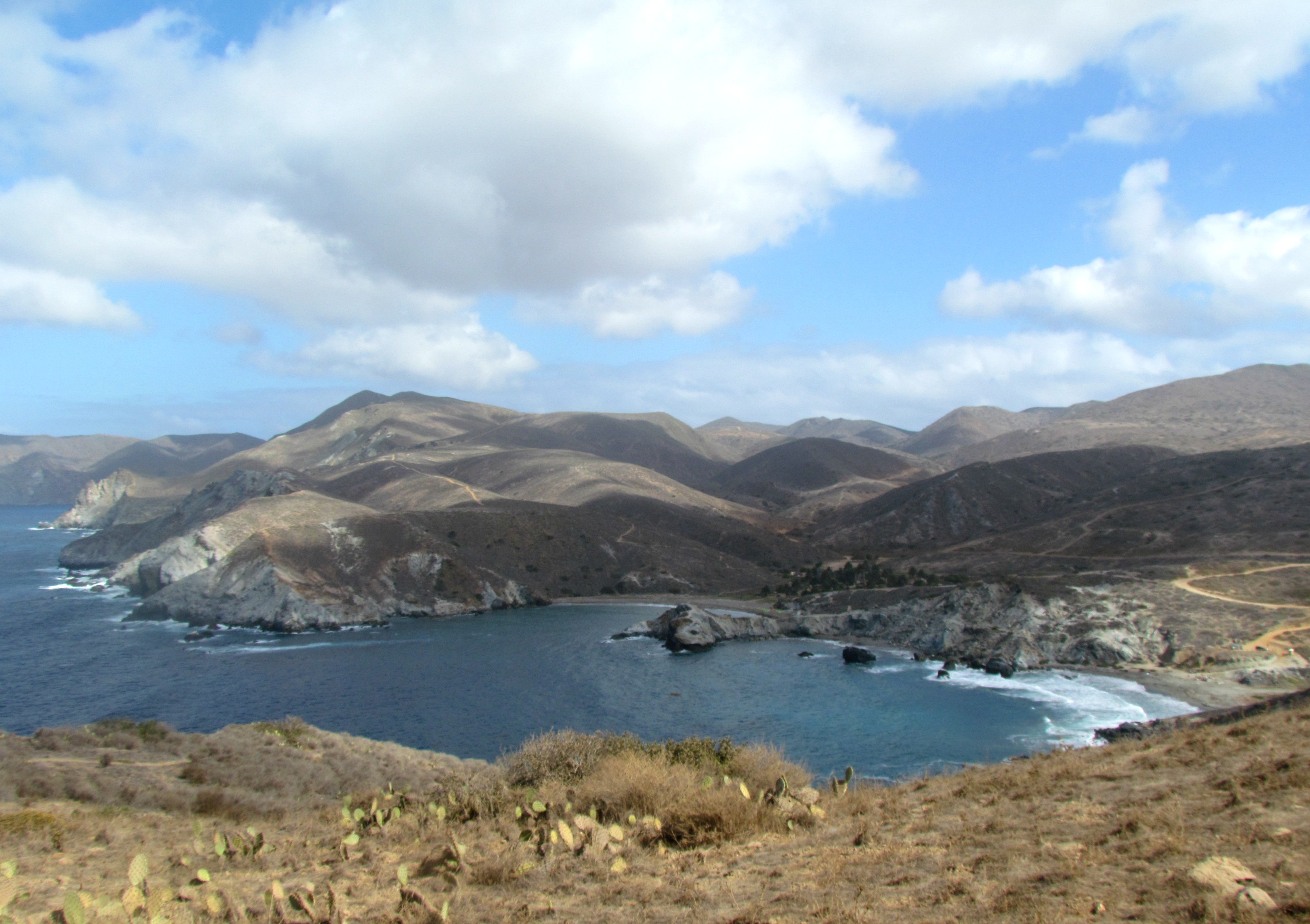 Hiking & Camping on Catalina Island