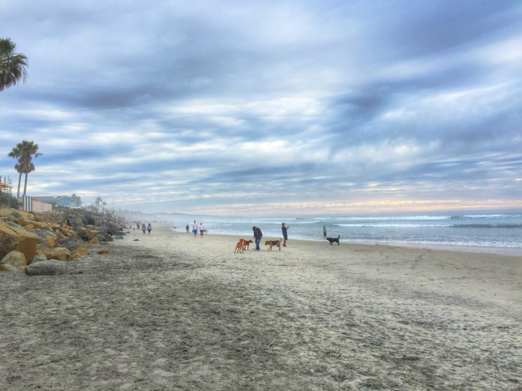 Del Mar Dog Beach