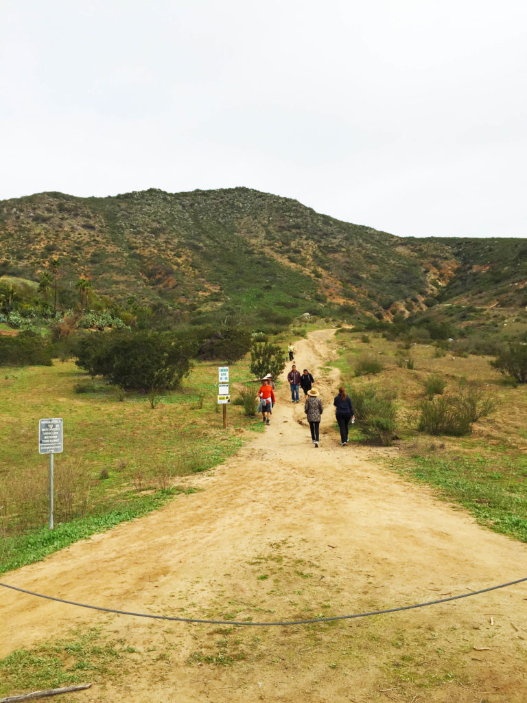 Monserate trail head