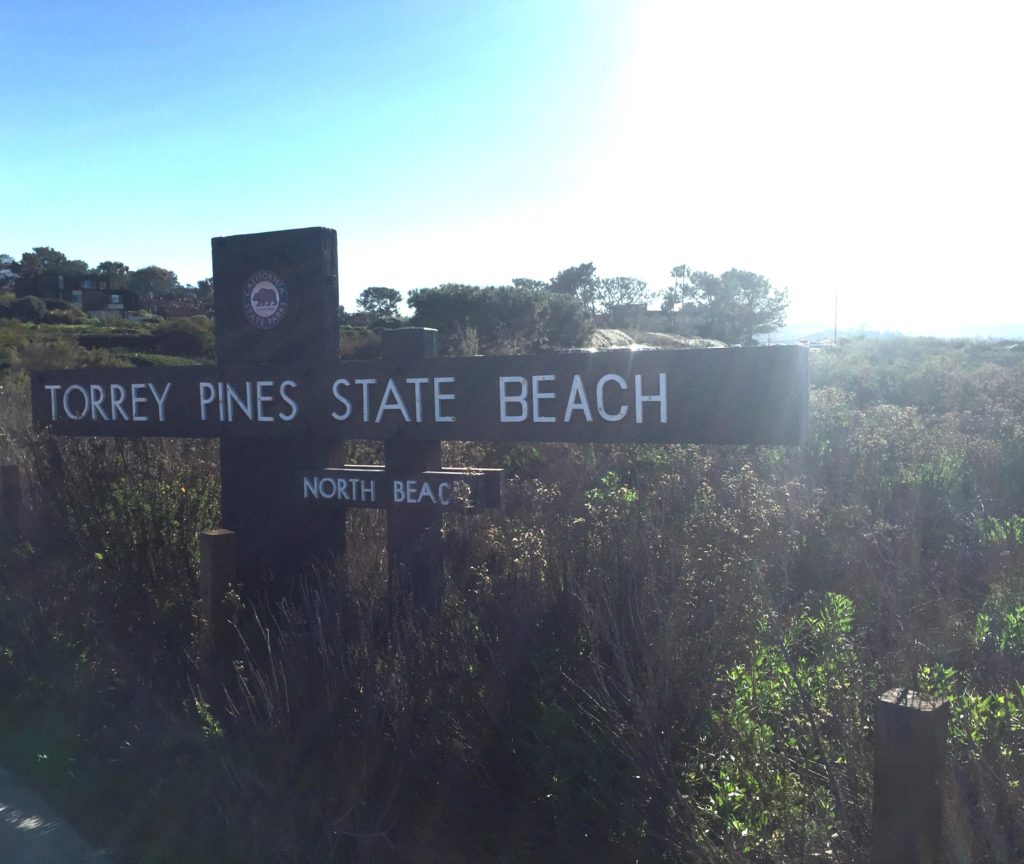 Torrey Pines