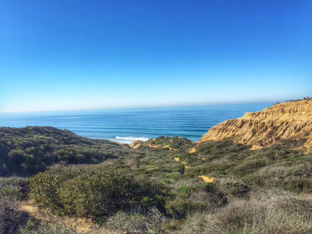 Torrey Pines-2