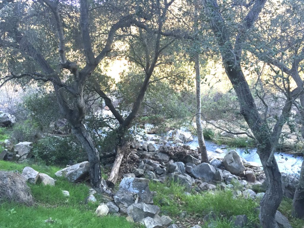 Elfin Forest stream