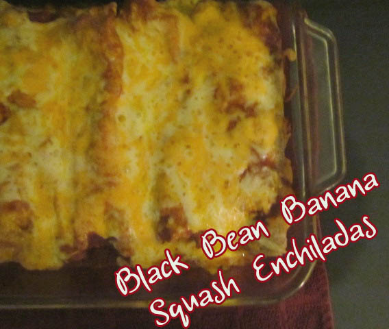 black bean enchiladas-2