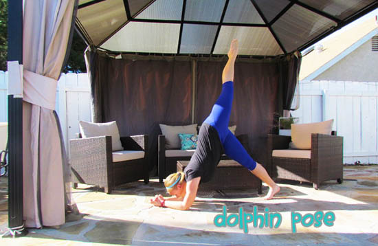 dolphin pose