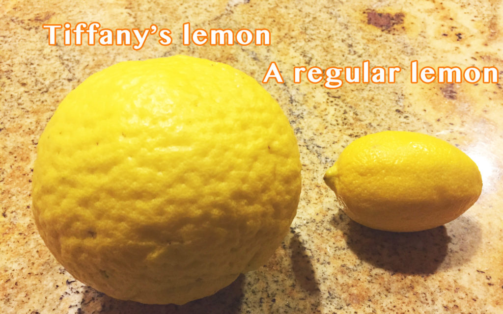 lemons copy