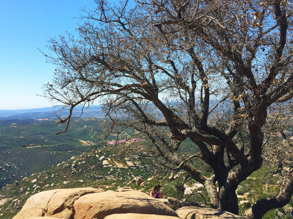 Mount Woodson-3