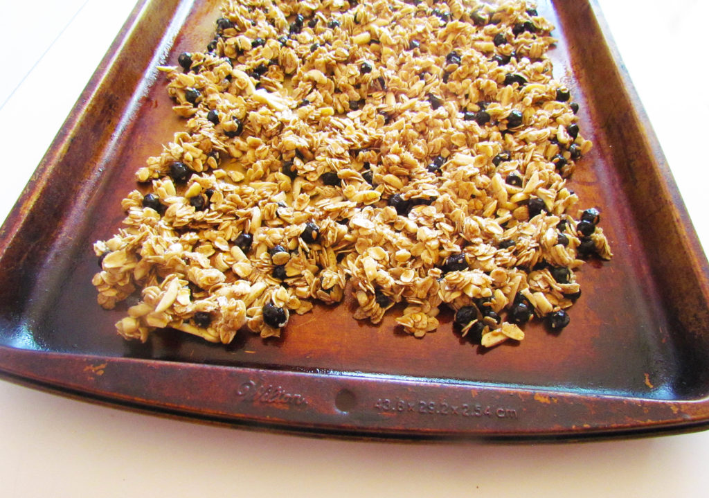 blueberry granola-1