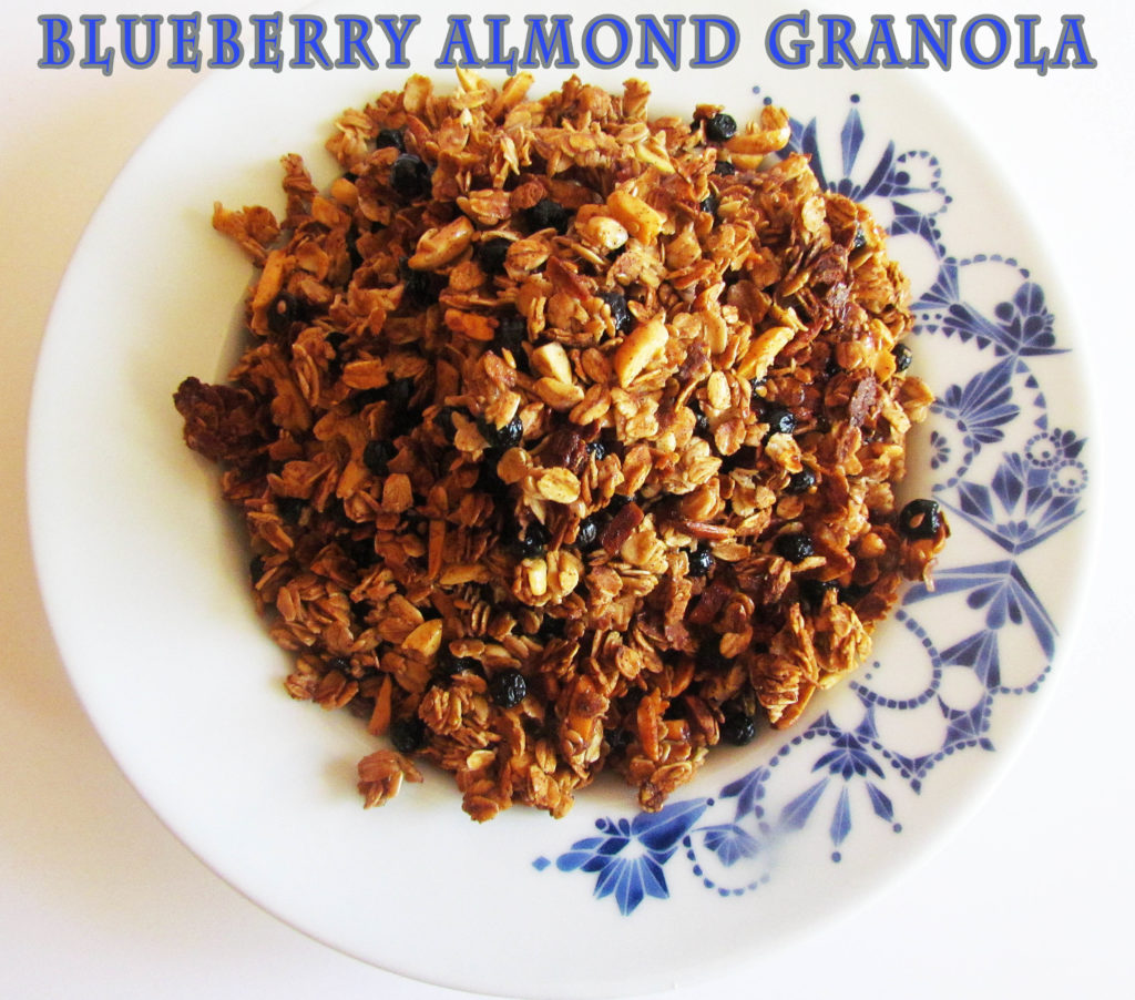 blueberry granola-2B