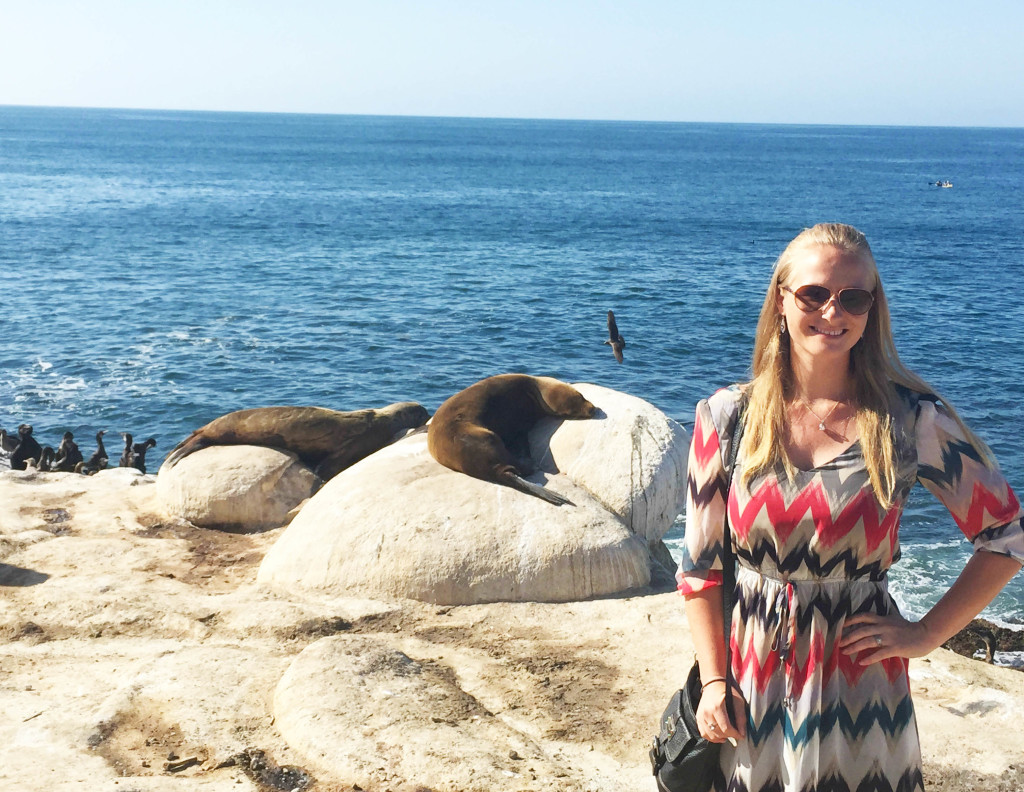 La Jolla seals