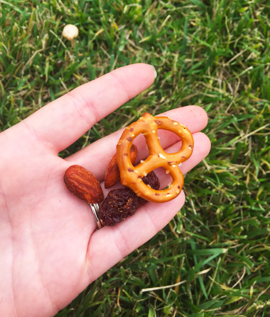 trail mix at the farm