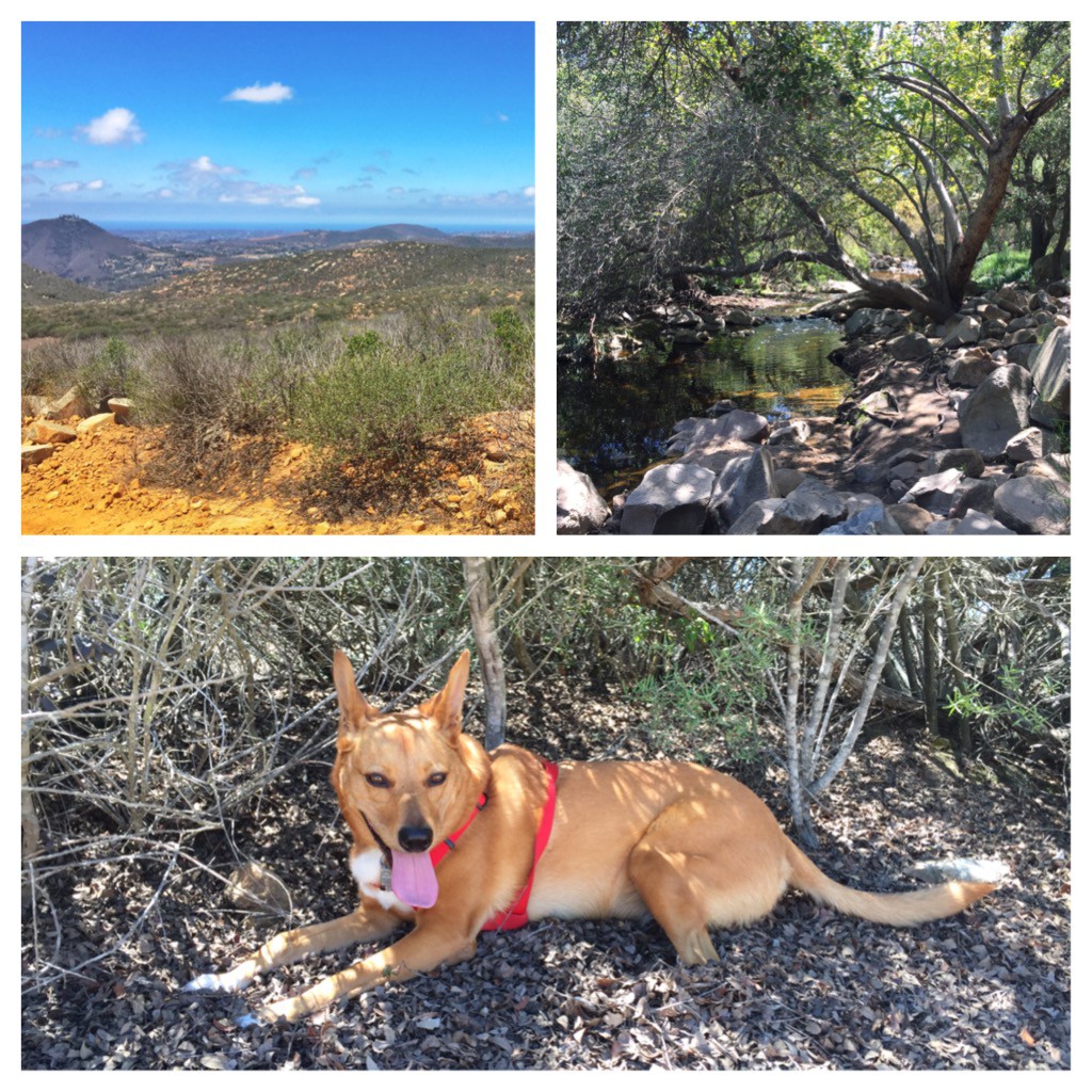 Hiking at Elfin-7.23.15